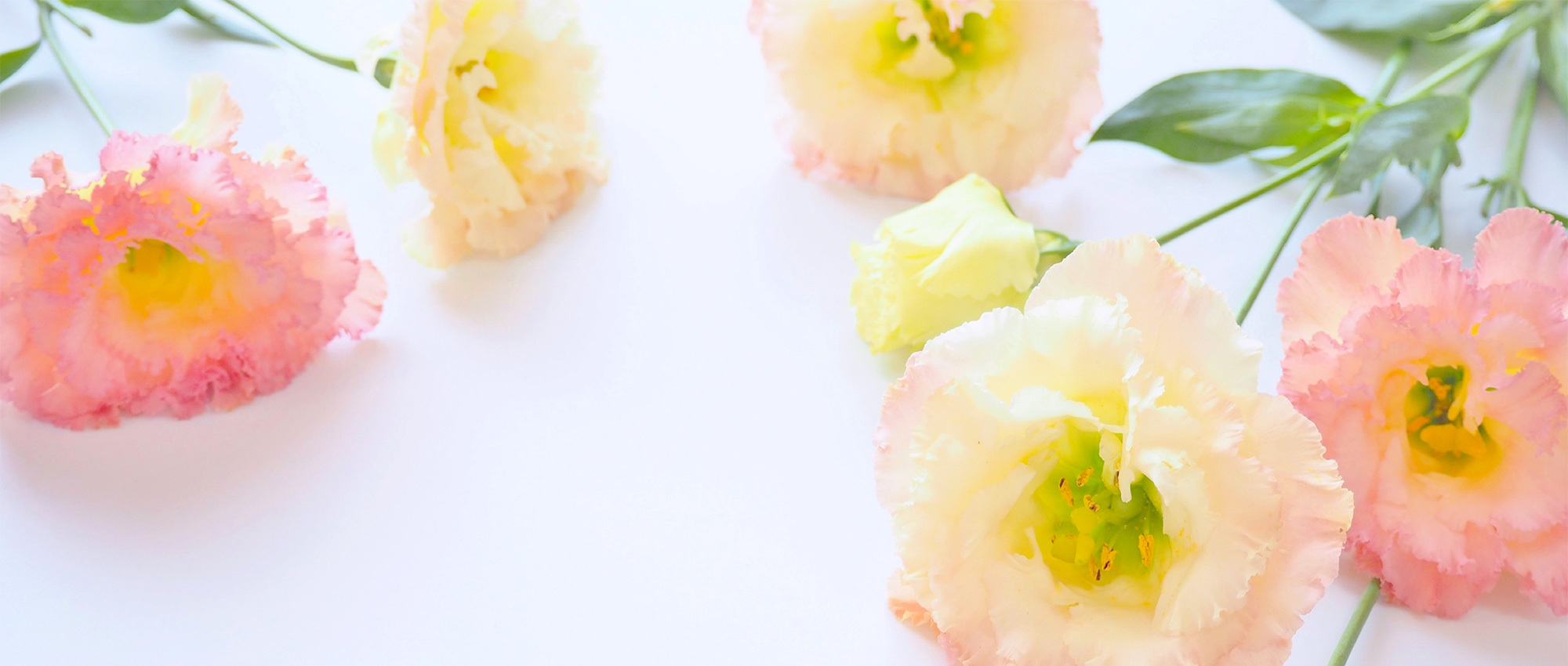 加古郡稲美町国安 調剤薬局